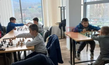 Почна со работа Шаховска школа за деца во Македонска Каменица