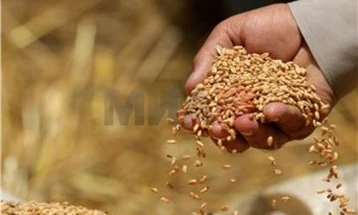 Полска го суспендира увозот на украинско жито најмалку до јули