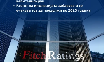 Фич: Девизните резерви повисоки за 270 милиони евра, банкарскиот сектор е стабилен