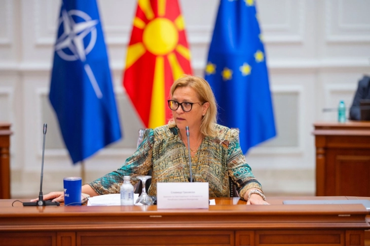 Takim pune e zëvendëskryeministres Grkovska me shefin e BE-së në Maqedoninë e Veriut, Gir