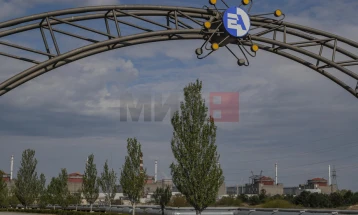 Рускиот оператор во окупираната украинска централа Запорожје запира со користење американско гориво