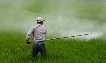 EU remains dependent on 'high volumes' of pesticide, agency warns