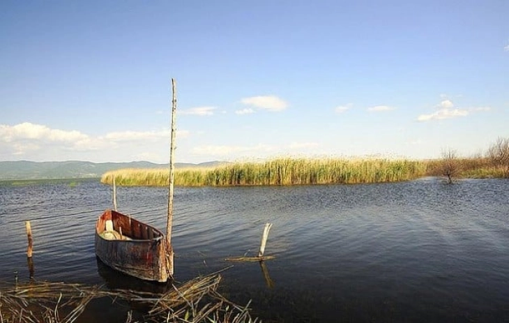 Dojran Lake level down