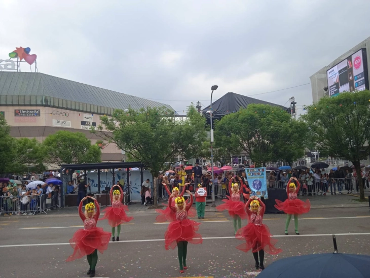 Карневалски групи од Струмица учествуваа на карневалот во Бања Лука