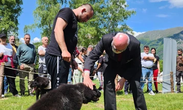 Одржана 10. државна изложба на македонско овчарско куче караман