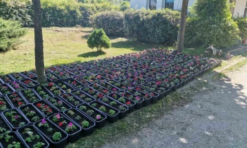 Општина Охрид ќе подели 400 жардиниери со саксиско цвеќе по повод Светскиот ден на животната средина