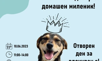 Отворен ден за вдомување кучиња во прифатилиштето на ЈП „Лајка“