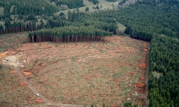 Почнува кампањата за заштита на шумите од пожари