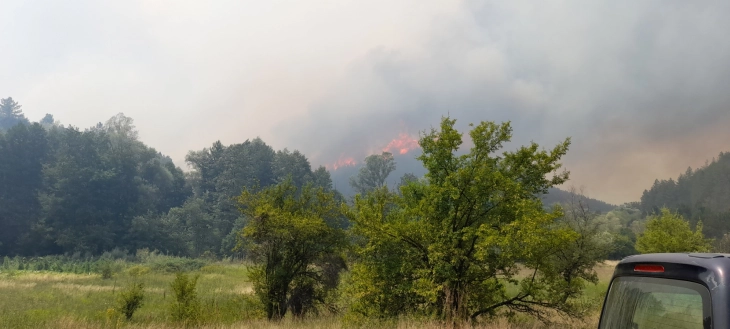 Меѓународна вежба за гасење шумски пожари во регионот на општините Делчево и Берово