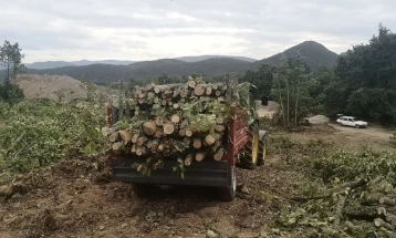 Приведен дебарчанец, нелегално превезувал огревни дрва