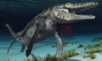 Морските мозасауруси се стари 94 милиони години
