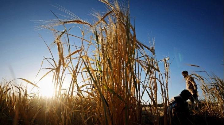 Russia rejects EU concession on threatened Ukraine grain deal