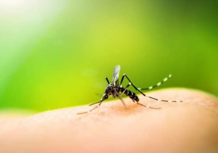 Прскање против комарци утре во Пехчево