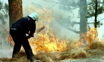 Шумски пожар на шпанскиот остров Ла Палма, евакуирани најмалку 500 луѓе