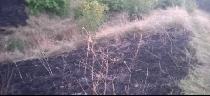 Janë lokalizuar zjarret në Kumanovë dhe Likovë 