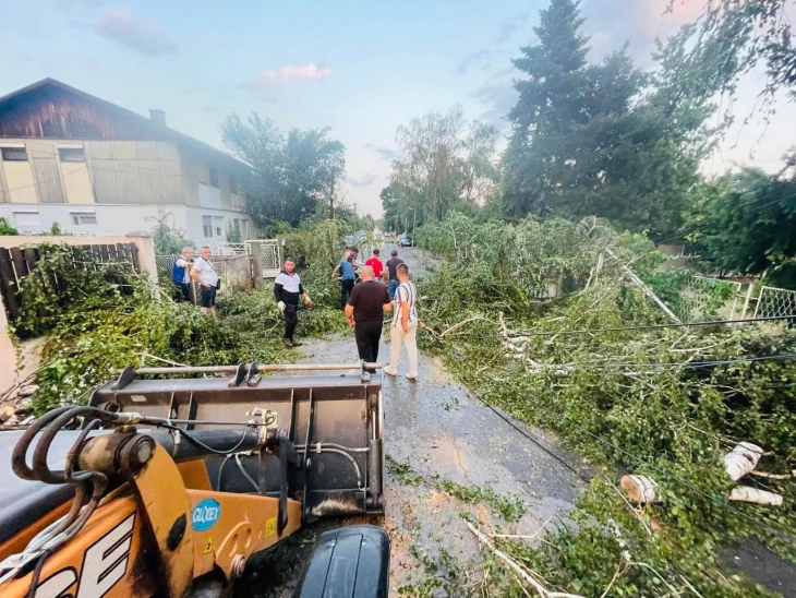 Во општина Бутел се отстрануваат паднатите дрвја и наноси од невремето