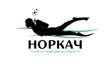 Подводно чистење на Охридското Езеро кај Радожда