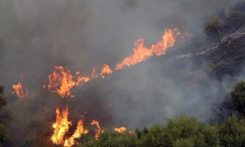 Во пожарите во Алжир досега 34 мртви, северот на Африка на удар на топлотен бран