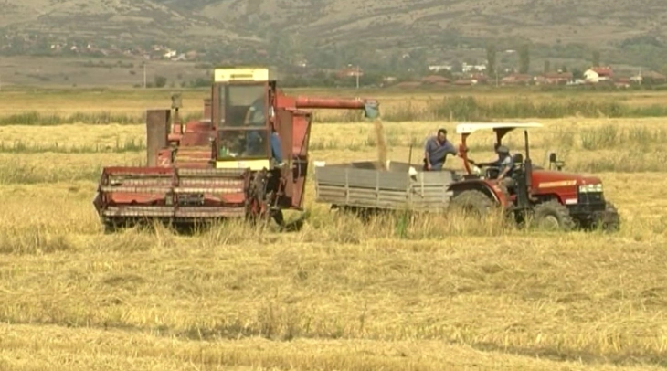 Николовски најави нова мерка за складирање на житото во рок од девет месеци