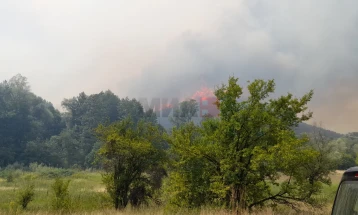 ЦУК:  Пожарот во Катланово е локализиран и се догасува од  пожарникари