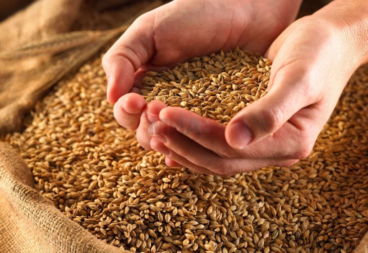 Се зголемува поддршката за складирање на пченица и јачмен од 60 денари на 120 денари по тон за месец