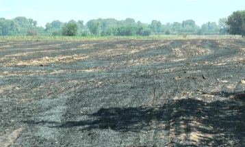 Повреден пожарникар при гаснење на пожар во светниколското село Ерџелија