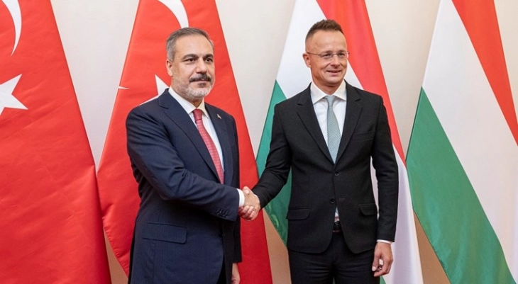 Фидан: Турција и Унгарија се во тесна координација за членството на Шведска во НАТО