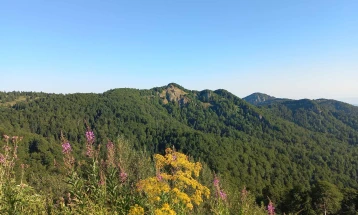 Планинари изодија 42 километра од Бошавска трансверзала во чест на Илинден
