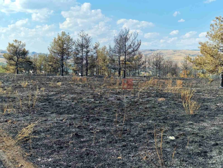 Ставен под контрола пожарот во реонот на „Гоцева шума“ кај Неготино