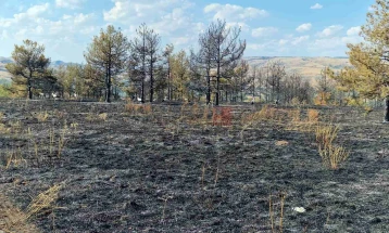 Ставен под контрола пожарот во реонот на „Гоцева шума“ кај Неготино