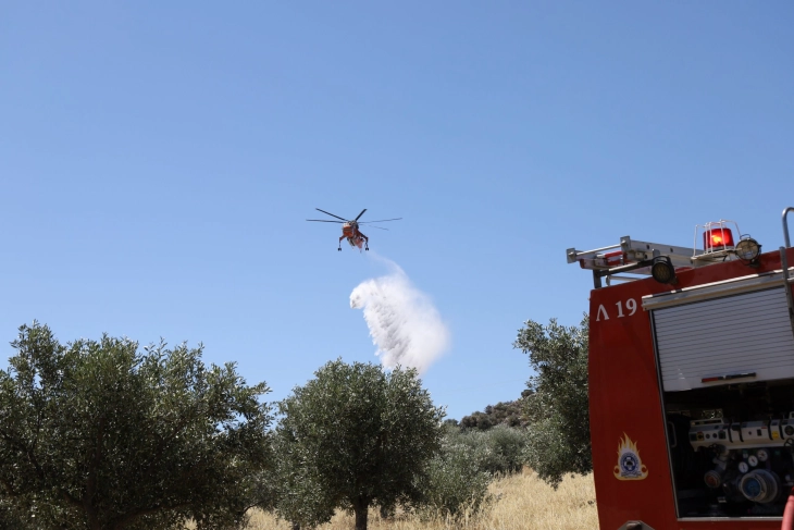 Шумски пожар на грчкиот остров Хиос, превентивно евакуирани две села