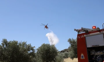 Шумски пожар на грчкиот остров Хиос, превентивно евакуирани две села