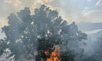 Локализиран пожарот над Отовица, кај Бучинци вклучени авиони на ДЗС