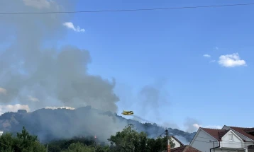 Локализиран големиот шумски пожар над Отовица (ДПЛ) 