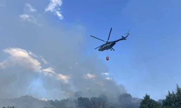 Në zjarrin në Otovicë tek liqeni “Mlladost” në Veles janë djegur 50 hektarë bar i thatë, pyje me shkurre dhe pisha