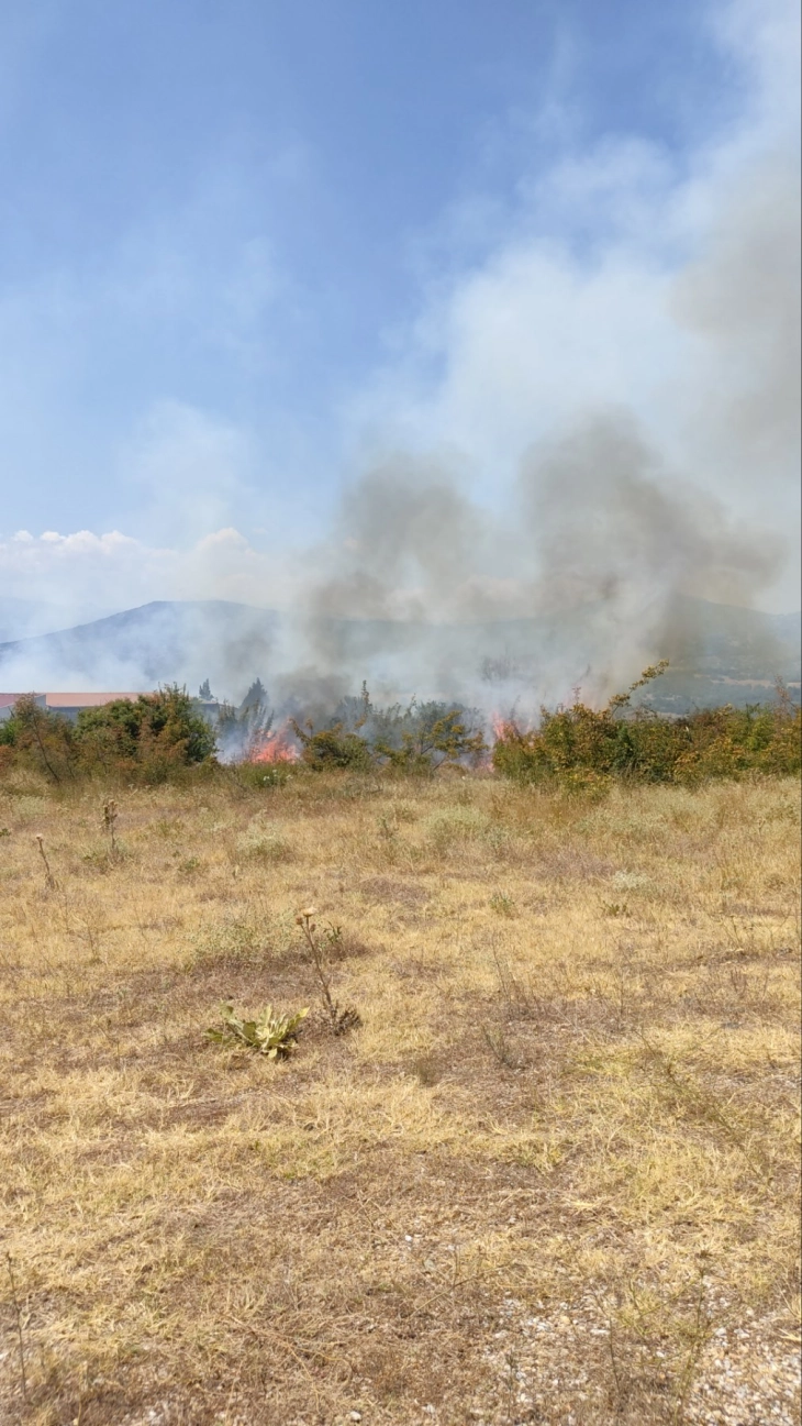 Po shuhet zjarri në afërsi të Bogdancit, ekziston rrezik të përhapet edhe në mullinjtë e erës