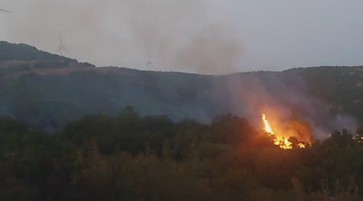 Во пожарот кај Богданци досега изгореа 500 хектари, гаснењето ќе продолжи и утре
