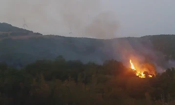Гаснењето на пожарот кај Богданци продолжува рано наутро