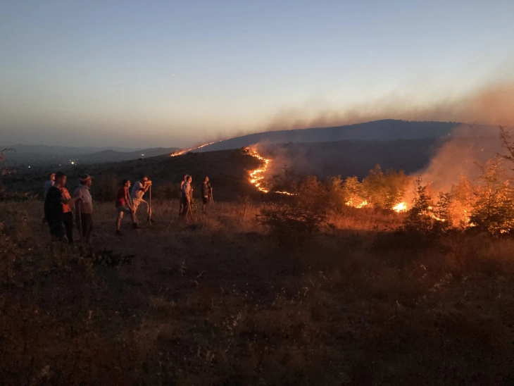 Пожар на патот Штип - Радовиш, гори нискостеблеста шума, грмушки и трева