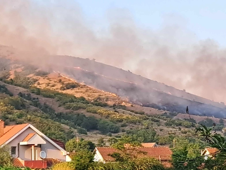 Локализиран пожарот во липковско