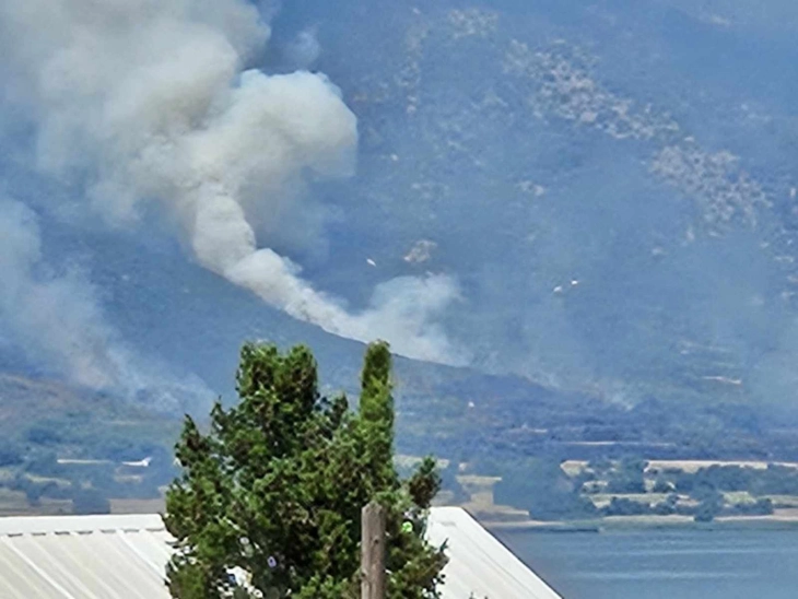 Пожар во близина на Дојран кон Николиќ