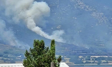 Пожар во близина на Дојран кон Николиќ