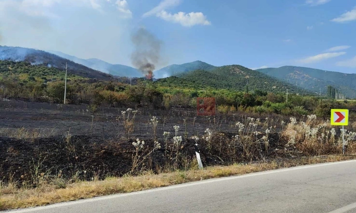 Дождот го изгасна пожарот кај Дојран