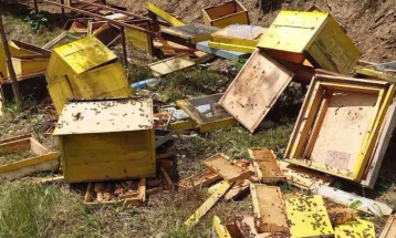 Во Дебарско мечки уништиле околу 200 пчелни сандаци