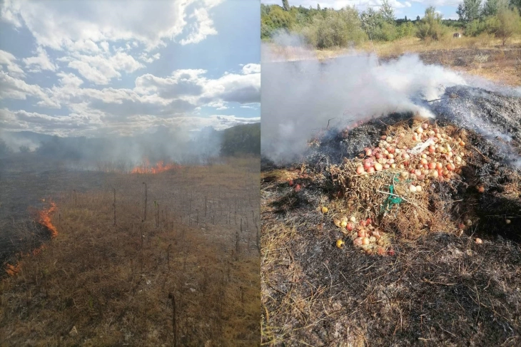 Предизвикале пожар во Рибарци откако биле запалени корења од домати