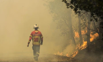 Portugal hit by forest fires, 1,400 people evacuated in Odemira