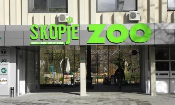 Kuajt në Kopshtin zoologjik në Shkup janë helmuar