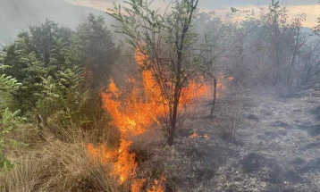 Ставен под контрола пожарот над месноста Брушани кај Тиквешко Езеро 