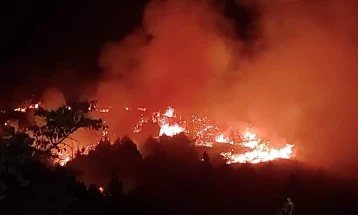 Локализиран е и вториот пожар кај Брушани на Тиквешко Езеро 