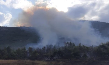 CMC: Three firefighting planes trying to put out fire near Debreshta village